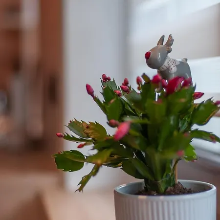 아파트 Z Widokiem Na Witów