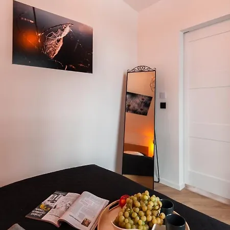 Z Widokiem Na 아파트 Witów