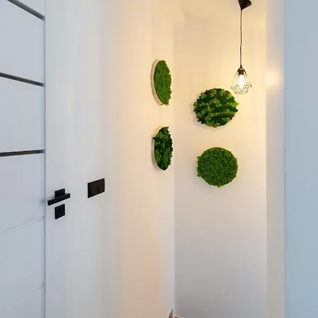Z Widokiem Na Apartament Witów
