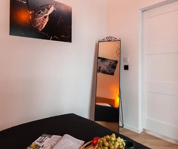 Z Widokiem Na Appartamento Witów