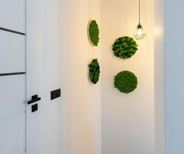 Z Widokiem Na Appartamento Witów