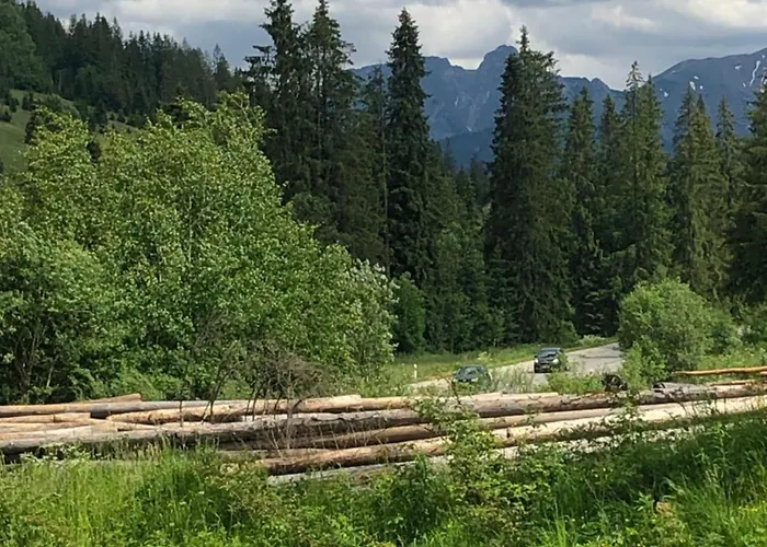 Appartamento Z Widokiem Na *